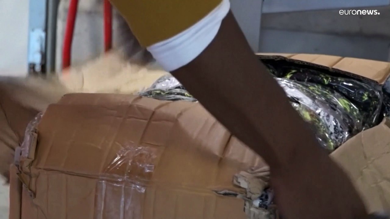 Neuer Rekord: 2022 mehr als 100 Tonnen Kokain in Antwerpen beschlagnahmt