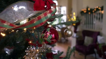 Welcome to the Christmas Family Reunion Bande-annonce (EN)