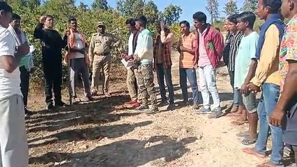 हाथियों को बचाने वन विभाग दे रहा प्रशिक्षण