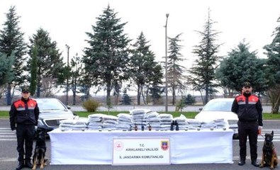 Kırklareli'nde bir yılda 2 milyon 878 bin 335 kök kenevir ele geçirildi