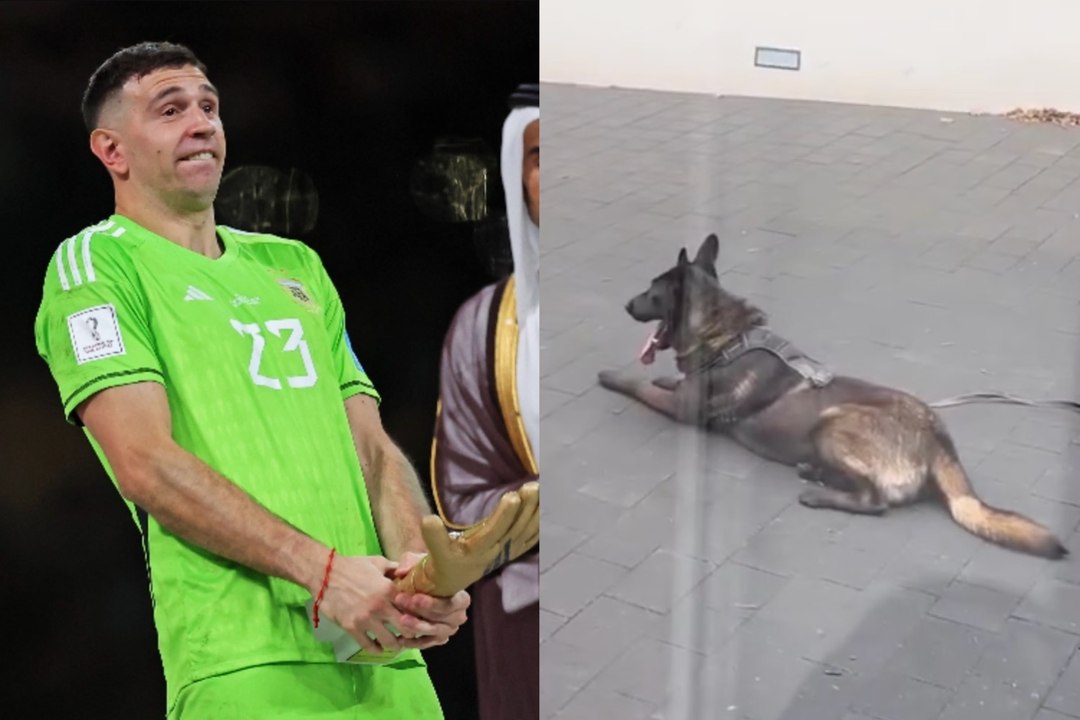Le chien à 25 000€ du gardien argentin Emiliano Martinez