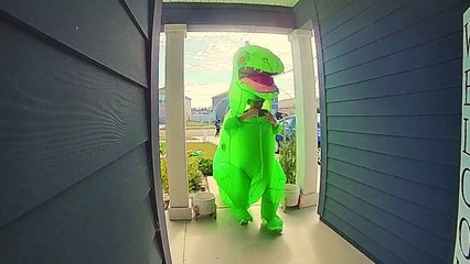 Kid caught on camera playing Ding-Dong Ditch while wearing a T-rex costume