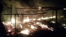 sidhi: fire broke out in the cowshed, three cattle died, half a dozen