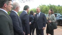 Dışişleri Bakanı Mevlüt Çavuşoğlu Güney Afrika'da (2)