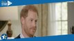 Prince Harry : comment s’entendent ses enfants Archie et Lilibet ? Révélations…