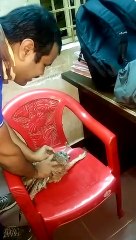 #Jungle birds owl....@viral videos