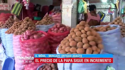 El precio de la papa sigue incrementándose en el mercado Abasto