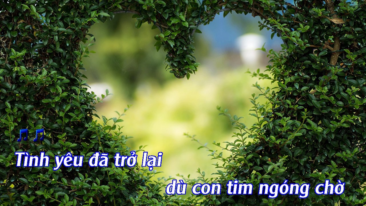 Dấu Yêu Trở Lại - Guitar Cover | 3N Music