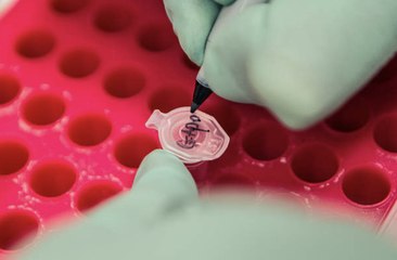 Le rythme des avancées scientifiques a ralenti, selon une nouvelle étude