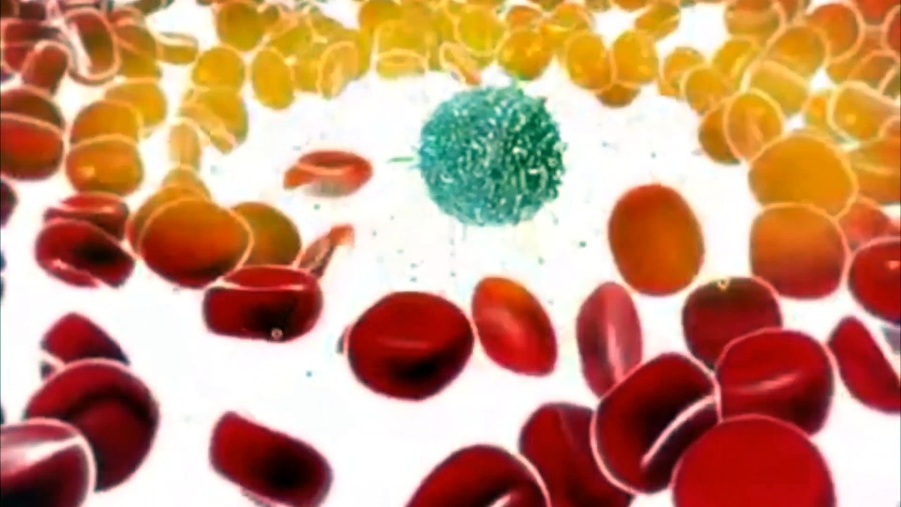 How to be IMMUNE to Pathogens-dr burg