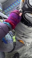 Il video virale dei cani "pendolari" in Alaska pubblicato su TikTok