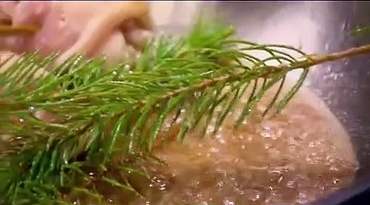 Iron Chef Gauntlet - Se1 - Ep01 - Into the Wild HD Watch