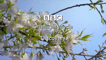 Un jour sur Terre Bande-annonce (EN)