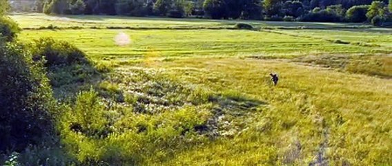 I'm Not There Bande-annonce (EN)