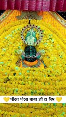 Basant panchmi song || basant panchmi status