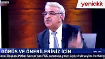 HDP Eş Genel Başkanı Mithat Sancar'dan PKK sorusuna cevap!