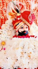 khatushyam ji darshan || khatu shyam ji status  || khatu shyam status