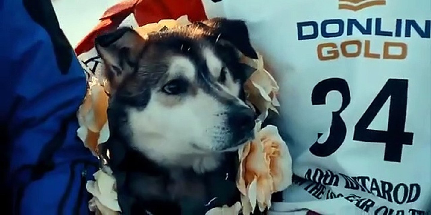 Losers - Se1 - Ep06 - Aliy HD Watch