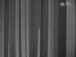 Maria de Lurdes Resende