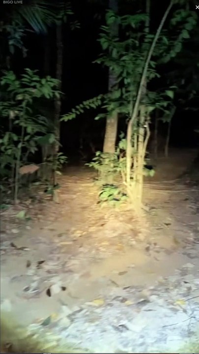 Paranormal activity ghost on camera part 56