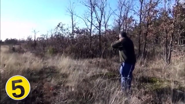 animal ATTACKS on HUMANS Boars, Lions ,Top 5 most SHOCKING and SCARY