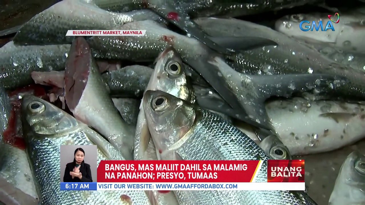 Bangus, mas maliit dahil sa malamig na panahon; Presyo, tumaas | UB