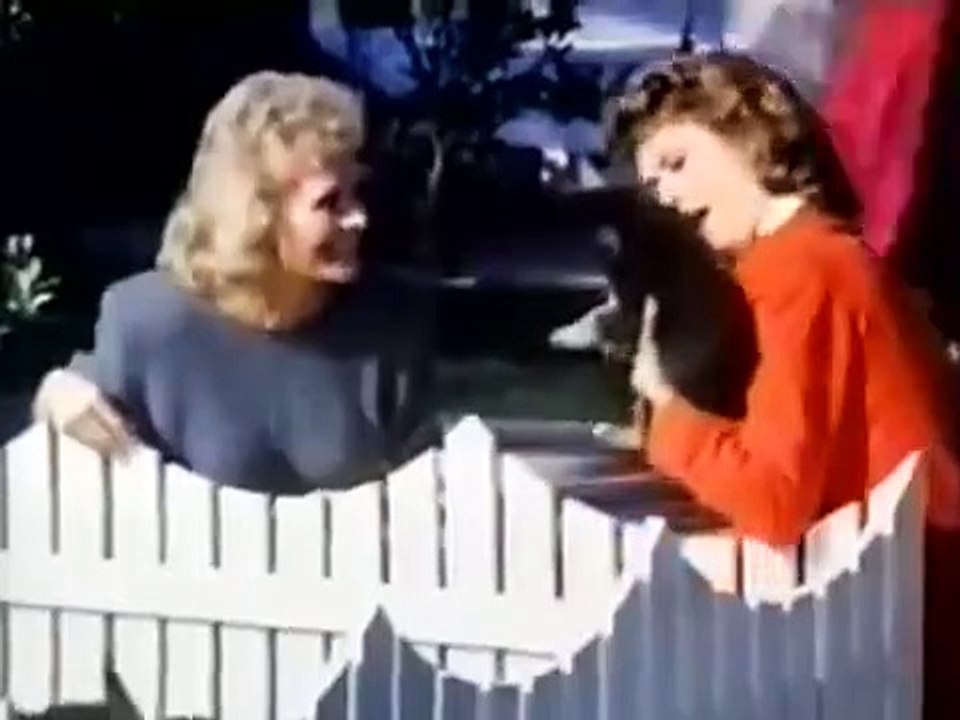 Scarecrow and Mrs. King - Se2 - Ep06 HD Watch