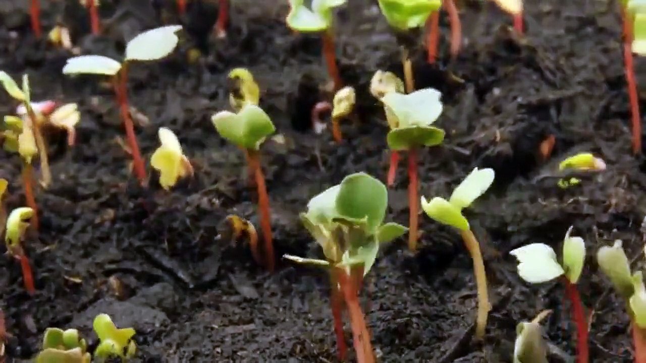 Space's Deepest Secrets - Se3 - Ep07 - Expedition Extraterrestrial HD Watch