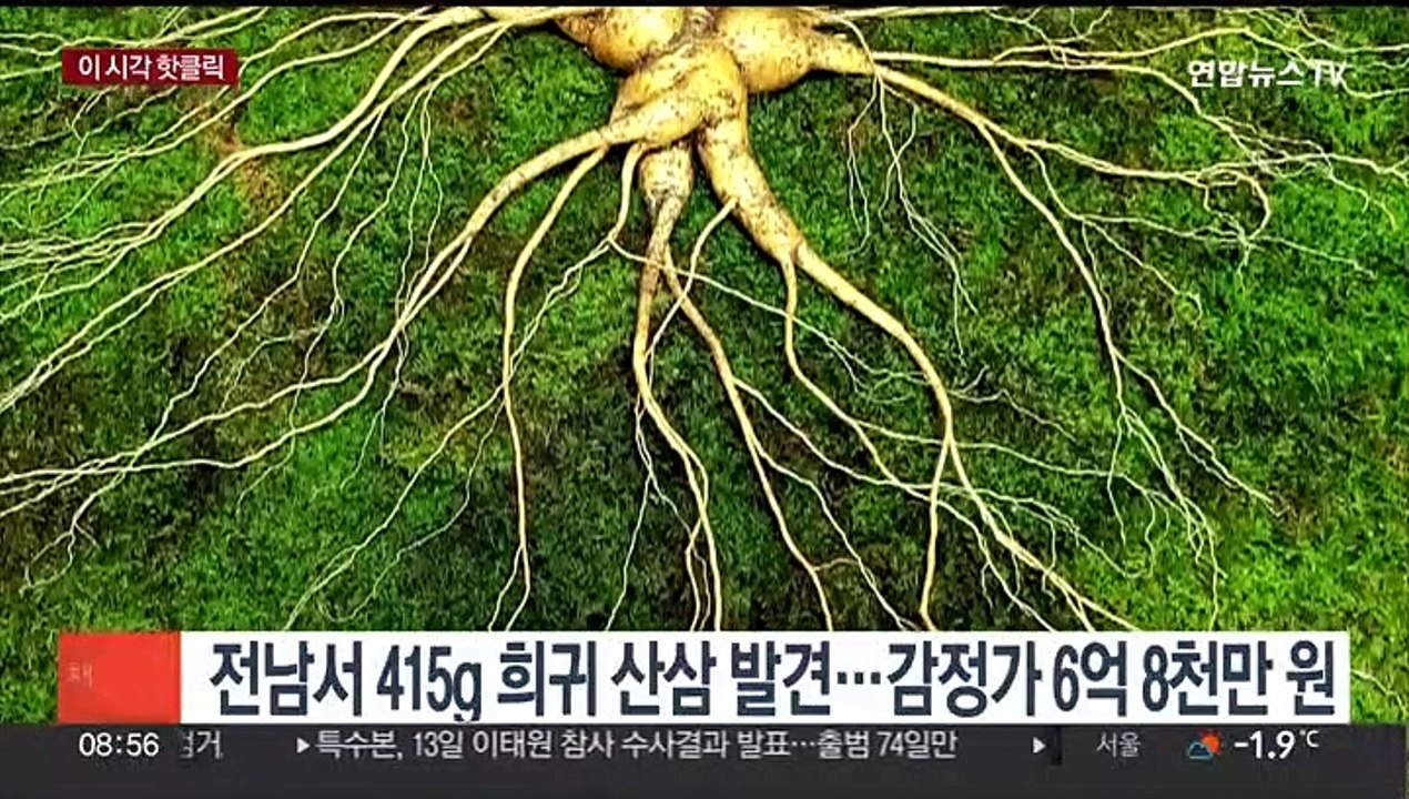 [핫클릭] '러시아 귀화' 쇼트트랙 빅토르 안, 국내 복귀 추진 外