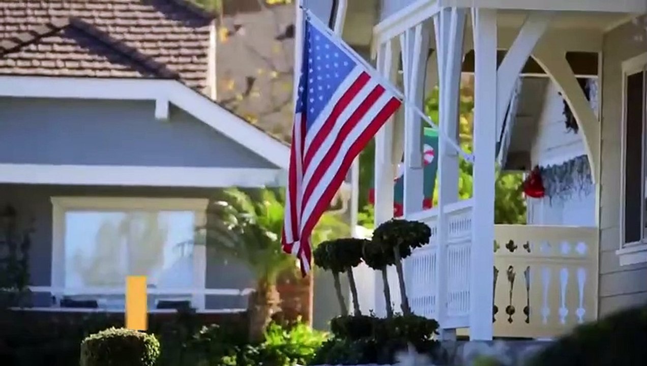 My Cat from Hell - Se10 - Ep06 - Meow Mates HD Watch