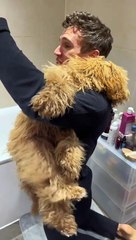Husband Struggles to Trim Dog's Nails