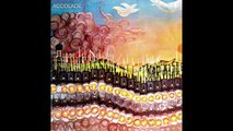 Accolade — Accolade 1970 (UK, Progressive/Jazz/Folk Rock)