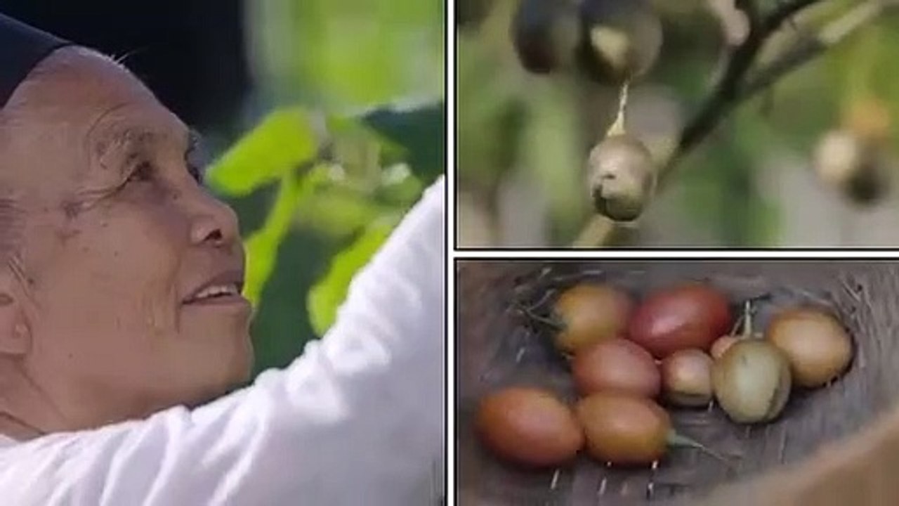 Flavorful Origins - Se2 - Ep02 - Nan Piě HD Watch