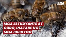 Mga estudyante at guro, inatake ng mga bubuyog | GMA News Feed