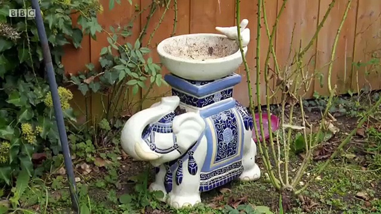 Garden Rescue - Se2 - Ep01 - Fareham HD Watch