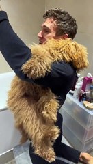 Husband Struggles to Trim Dog's Nails
