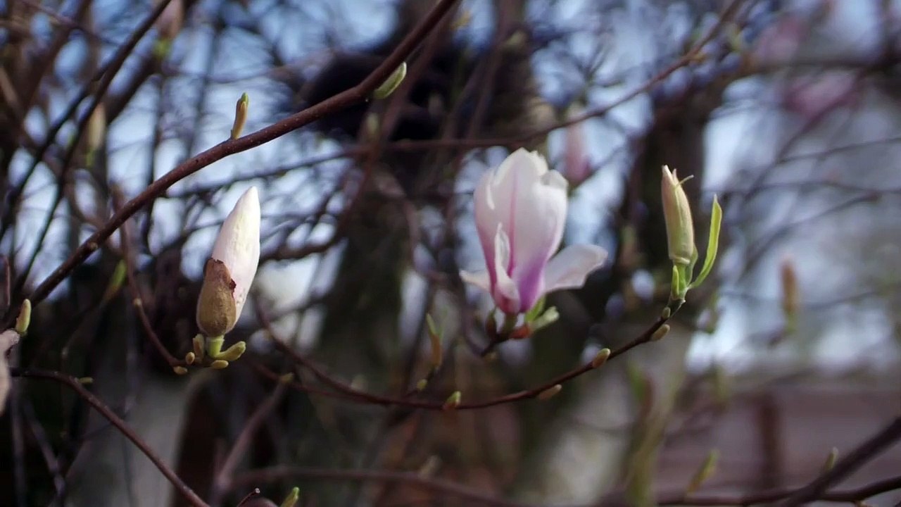 Hospital - Se7 - Ep02 HD Watch