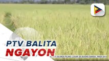 PBBM, inatasan ang DAR na bilisan ang pamamahagi ng CLOA