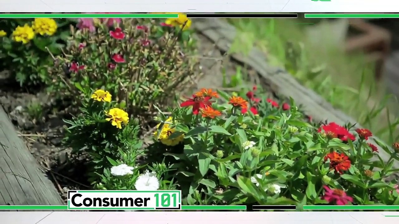 Consumer 101 - Se2 - Ep08 - Information Superhighway HD Watch