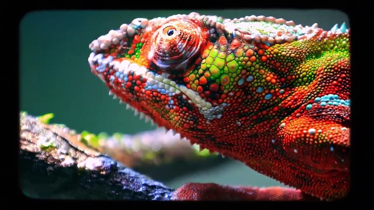 History 101 - Se1 - Ep10 HD Watch