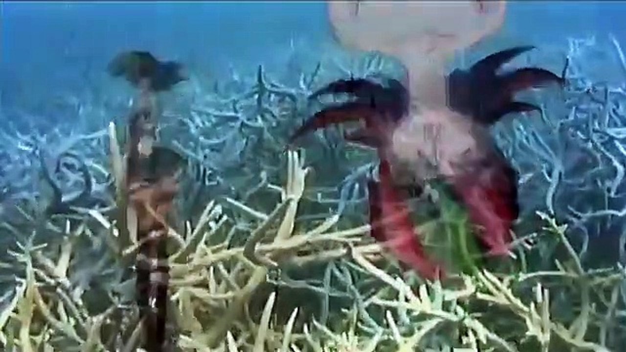 Betterman - Ep21 HD Watch