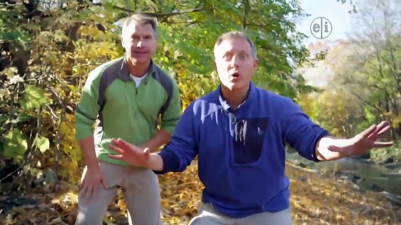 Odd Squad - Se2 - Ep10 - Night Shift; Put Me In Coach HD Watch