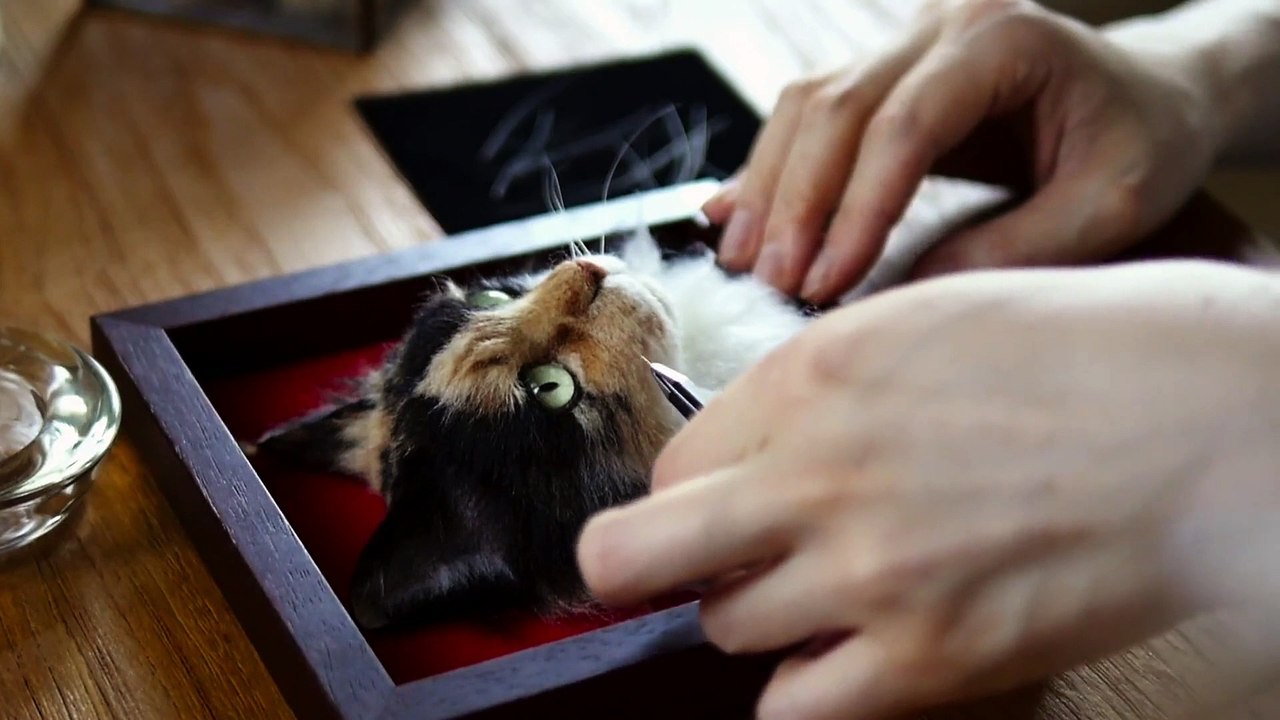 Cat People - Se1 - Ep03 HD Watch
