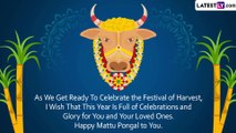 Mattu Pongal 2023 Messages, Greetings & Images: Celebrate the Festive Day Dedicated to Cattle