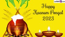 Kaanum Pongal 2023 Wishes and Images: Share Greetings and Messages on the Last Day of Pongal