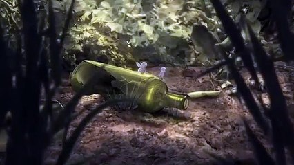 Animals - Se1 - Ep07 - Flies HD Watch