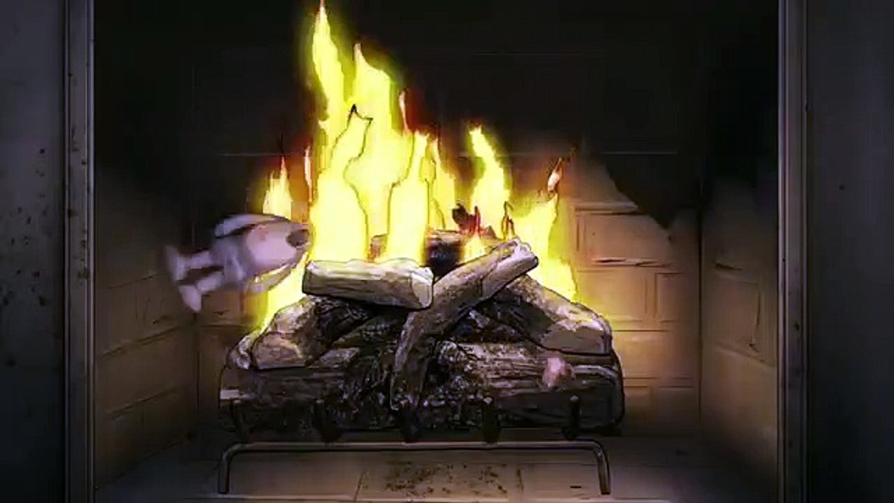 Animals - Se1 - Ep10 - Turkeys HD Watch