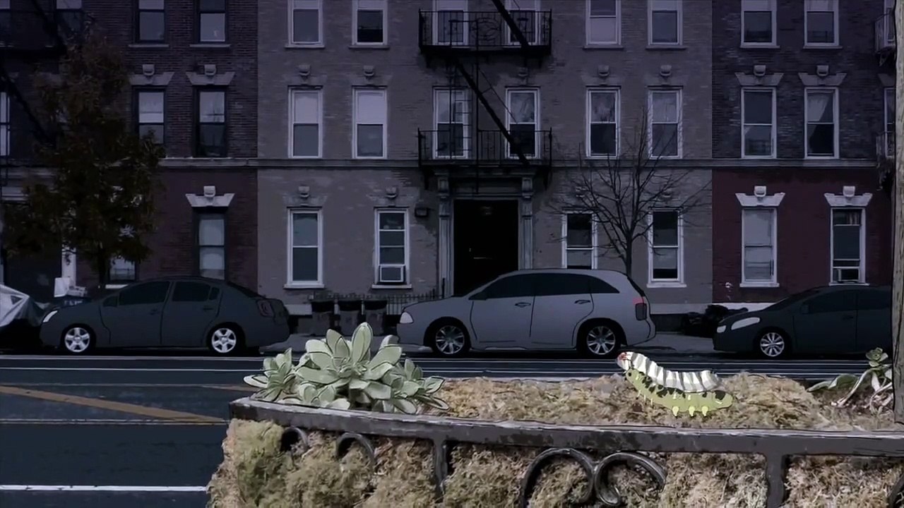 Animals - Se1 - Ep02 - Pigeons HD Watch