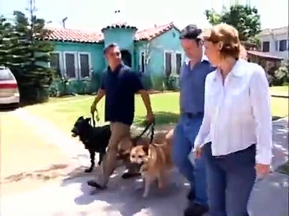 Dog Whisperer with Cesar Millan - Se1 - Ep16 HD Watch
