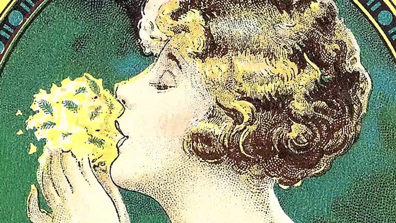 Explained - Se3 - Ep07 - Your Skin HD Watch